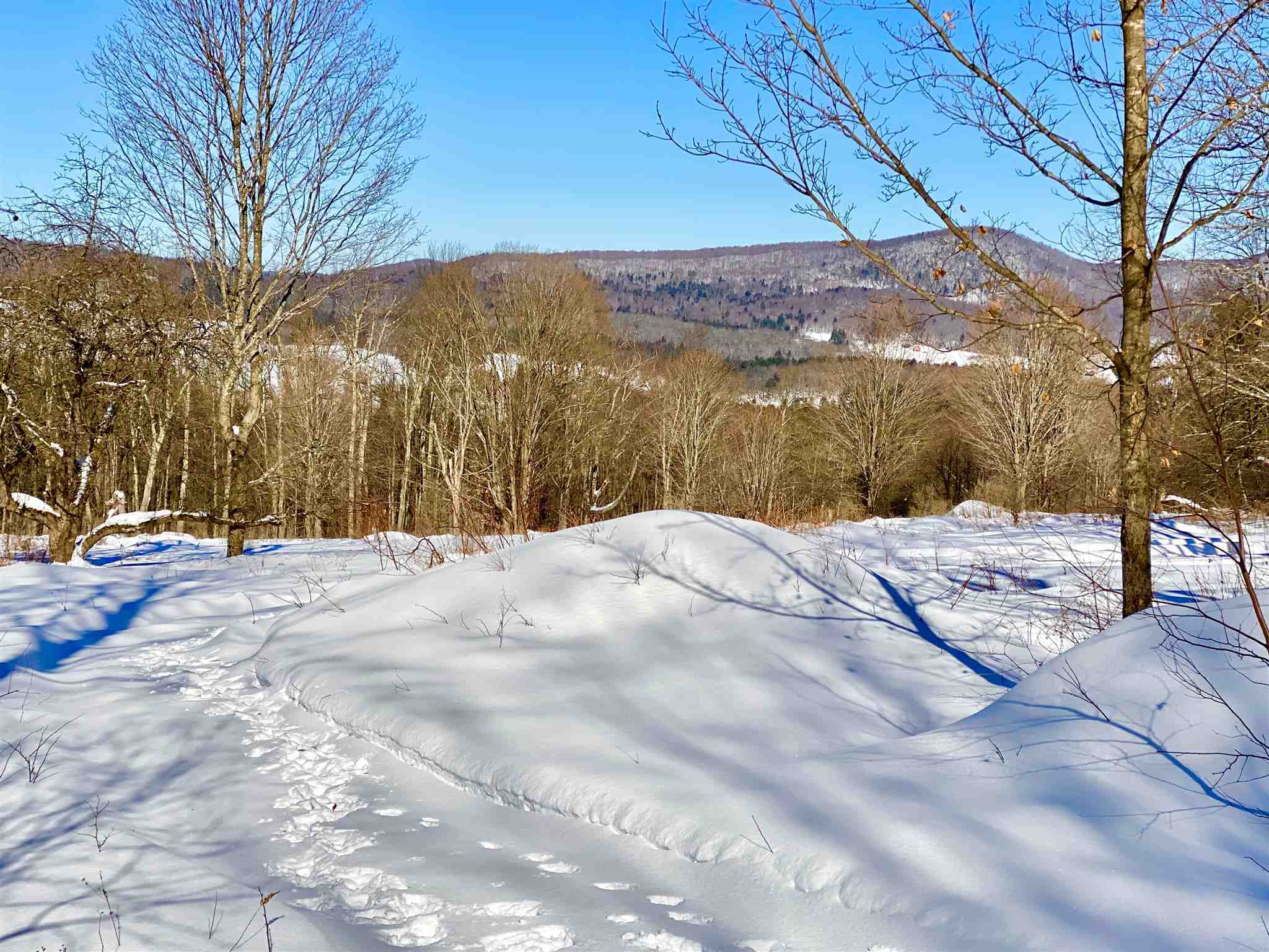 Property Photo:  Black Mountain Road  VT 05444 