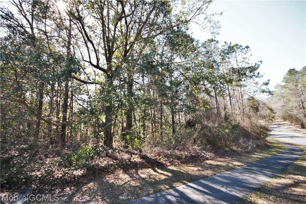 Property Photo:  D'Olive Ridge  AL 36527 