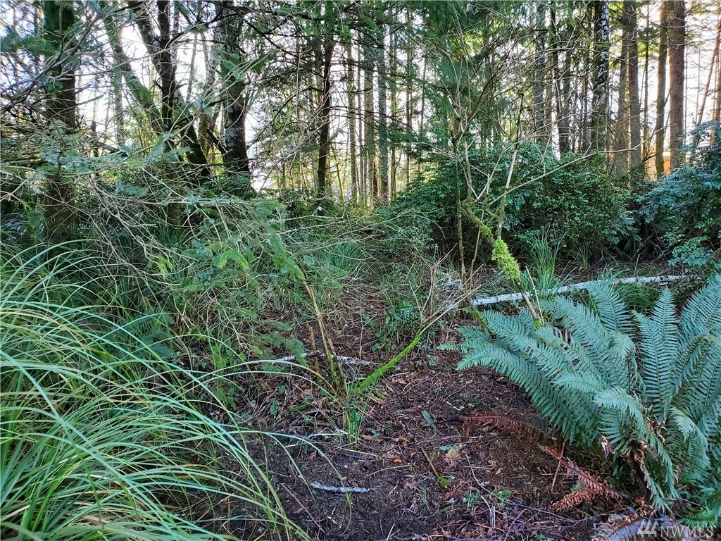 Property Photo:  287 Pearsall St SE  WA 98569 