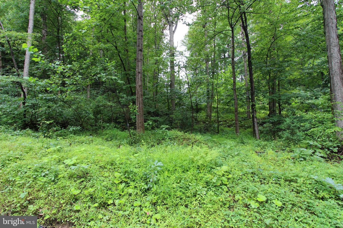 Property Photo:  Lot 8 Eagles Crag  VA 22630 