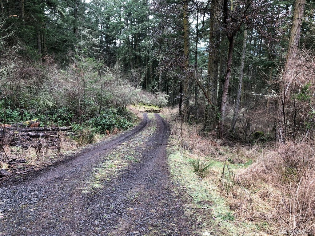 Property Photo:  2856 Roche Harbor Rd  WA 98250 