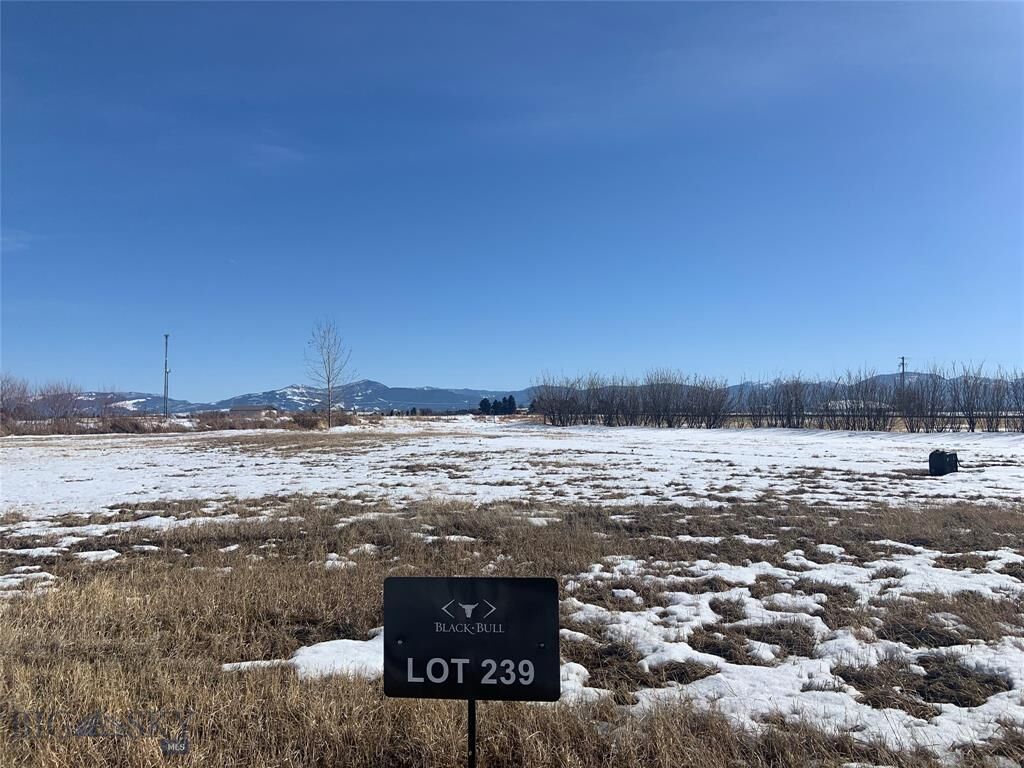 Property Photo: Lot 239 Powerpoint Trail MT 59718