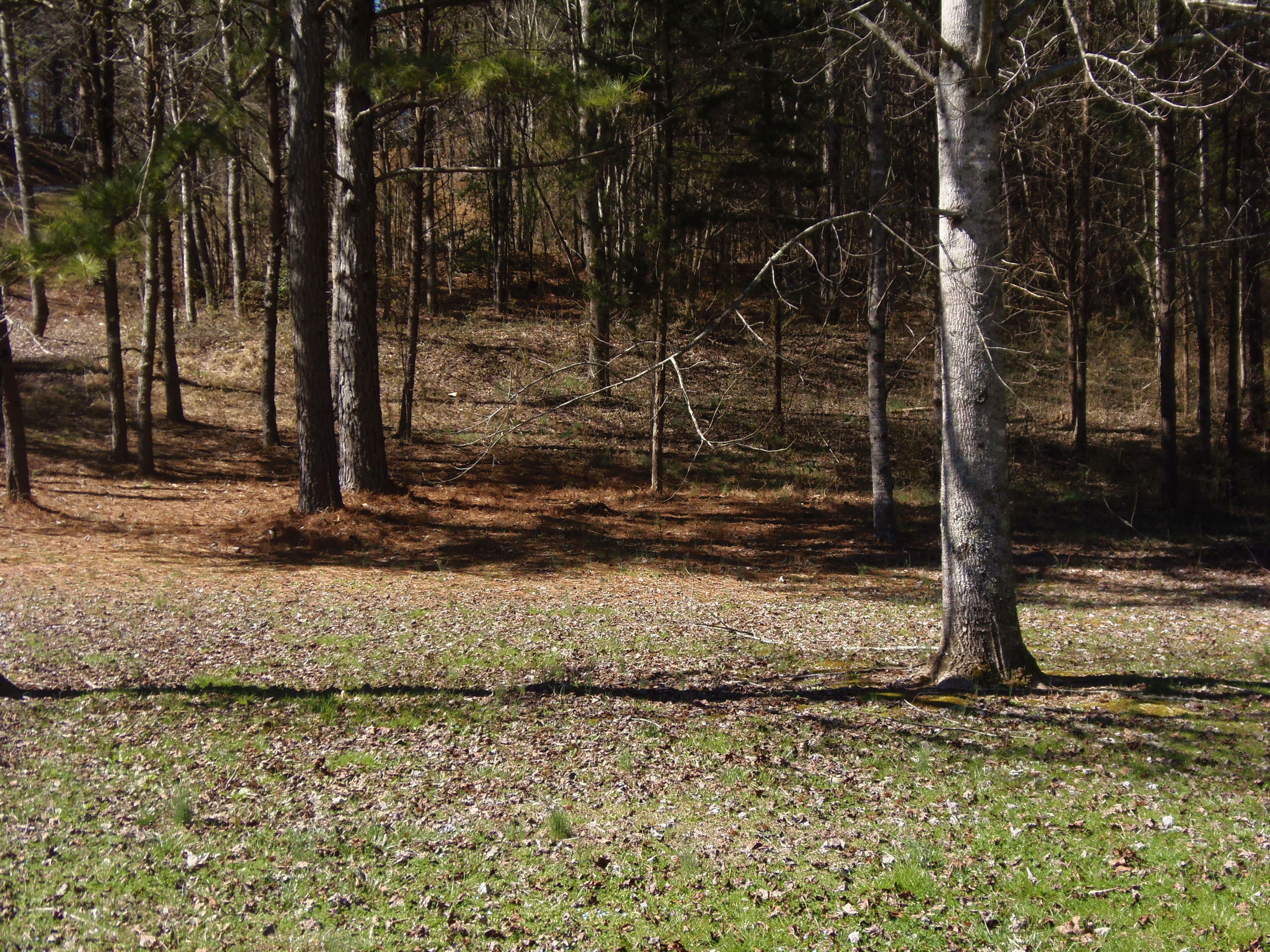 Property Photo:  Reliance Rd  TN 37385 