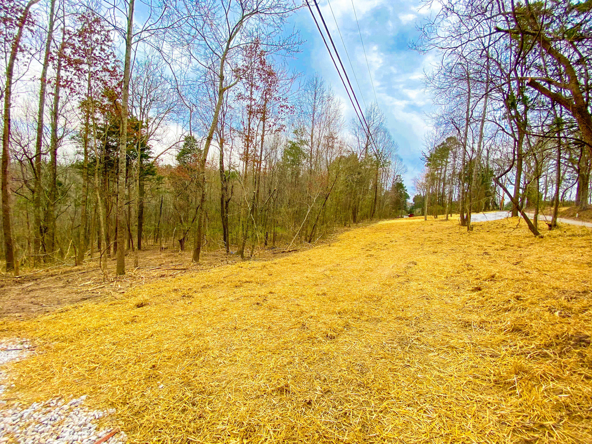 Property Photo:  Bert Newman Ln Lot 3  TN 37931 
