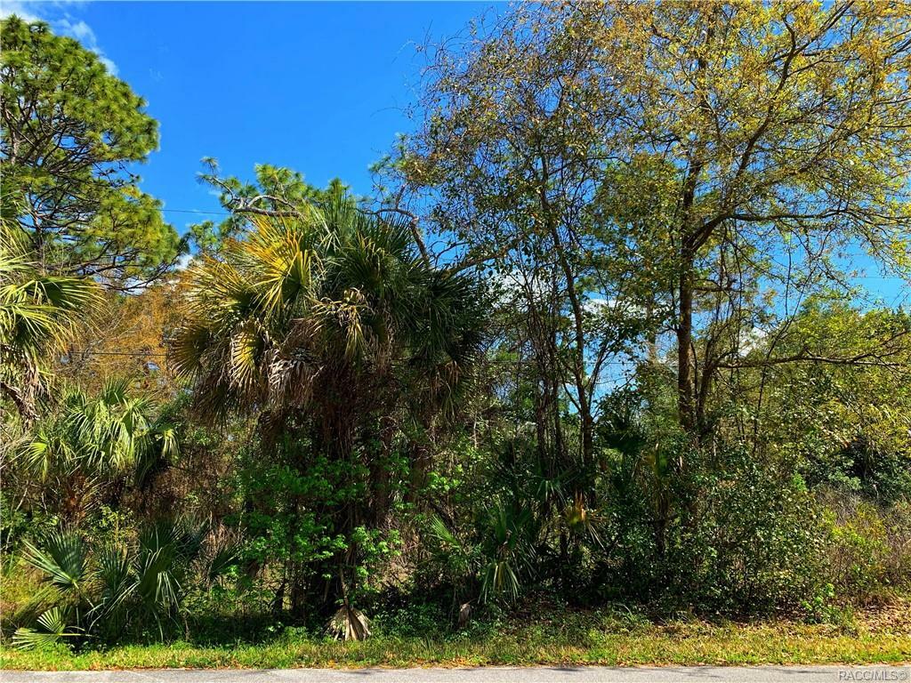 Property Photo:  3231 S Alabama &Amp 3202 S Kings Avenue  FL 34448 