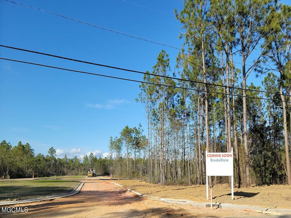 Property Photo: 10812 E Taylor Rd, Lot 28 MS 39503