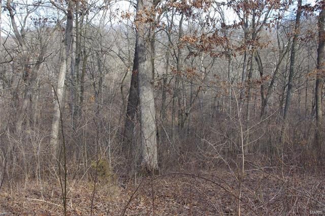 Property Photo: 60 Sandy Woods Drive MO 63389