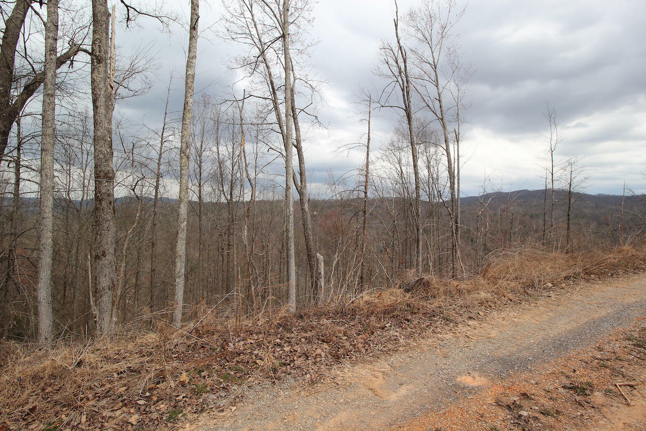 Property Photo:  Lot 16-C Laurel Way  TN 37738 