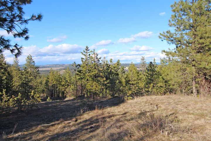 6525 W Jedi Ln  Spokane WA 99224 photo