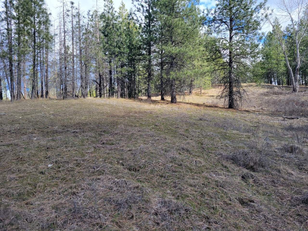 Property Photo: Parcel #49173.9020 Rd WA 99009