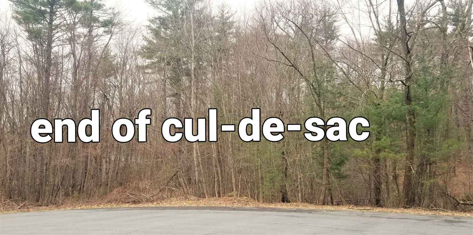 Property Photo:  4 Orchid Springs Drive 4  NH 03811 