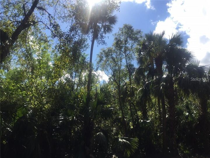 Property Photo:  7347 Riverton Circle  FL 33981 