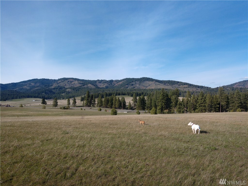 Property Photo:  Lot 18C Mountain Creek Dr  WA 98922 