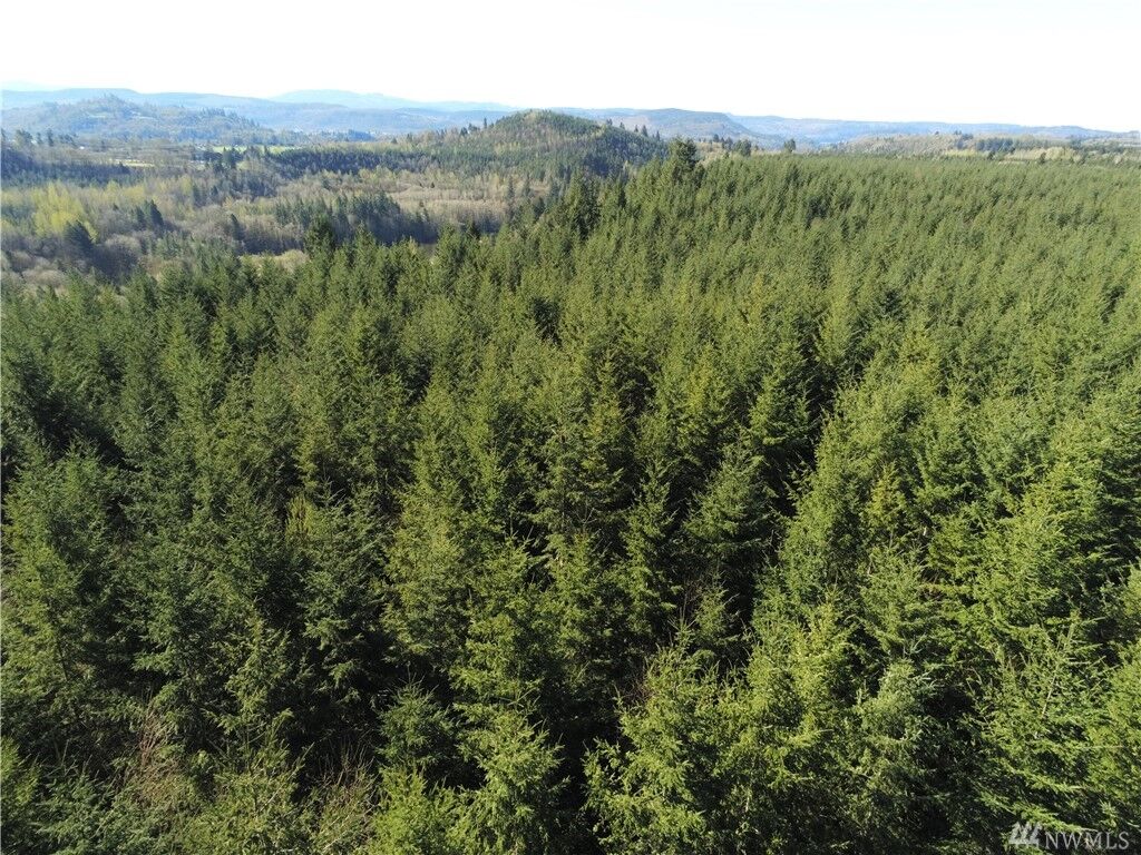 Property Photo:  0 Justus  WA 98570 