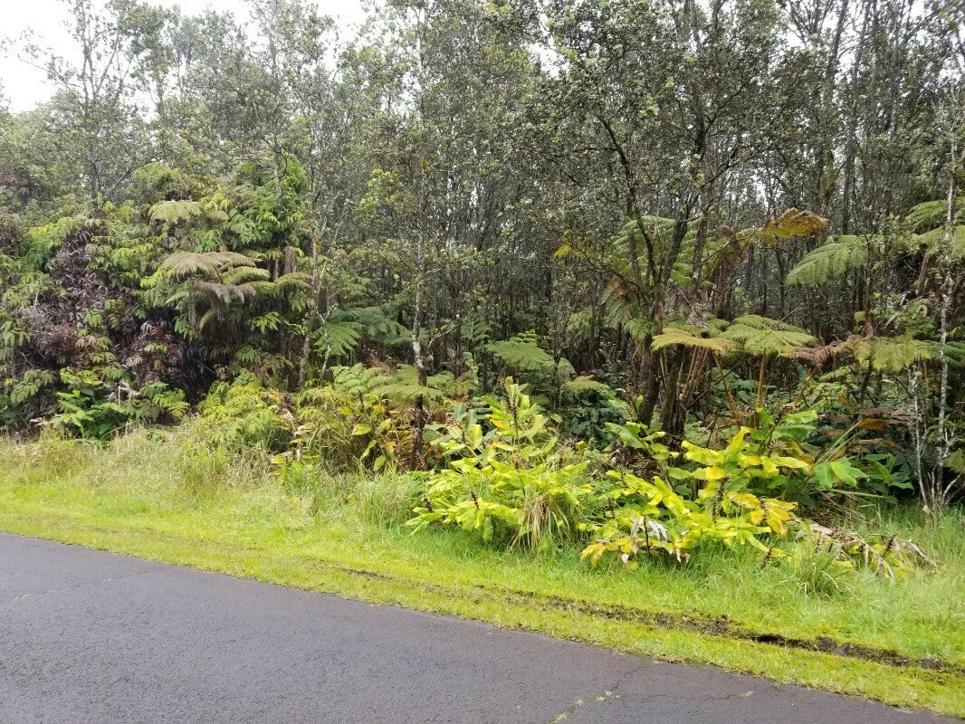 Property Photo:  Liona St  HI 96785 