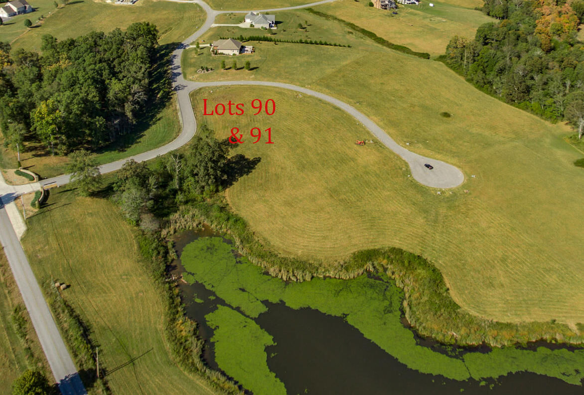Property Photo: Whitson Lane, Lots 90 &Amp 91 TN 38572