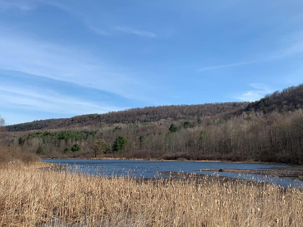 Property Photo:  0 Johnson Hollow Road  NY 14845 