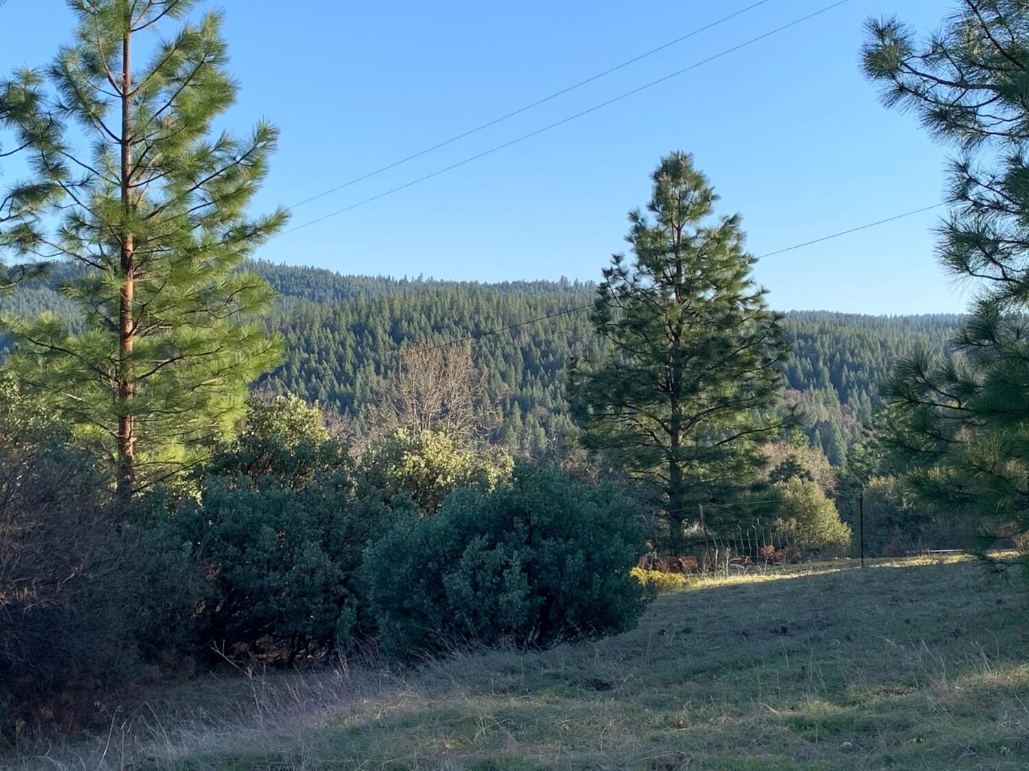 Property Photo:  372 Guardian Court  CA 95684 