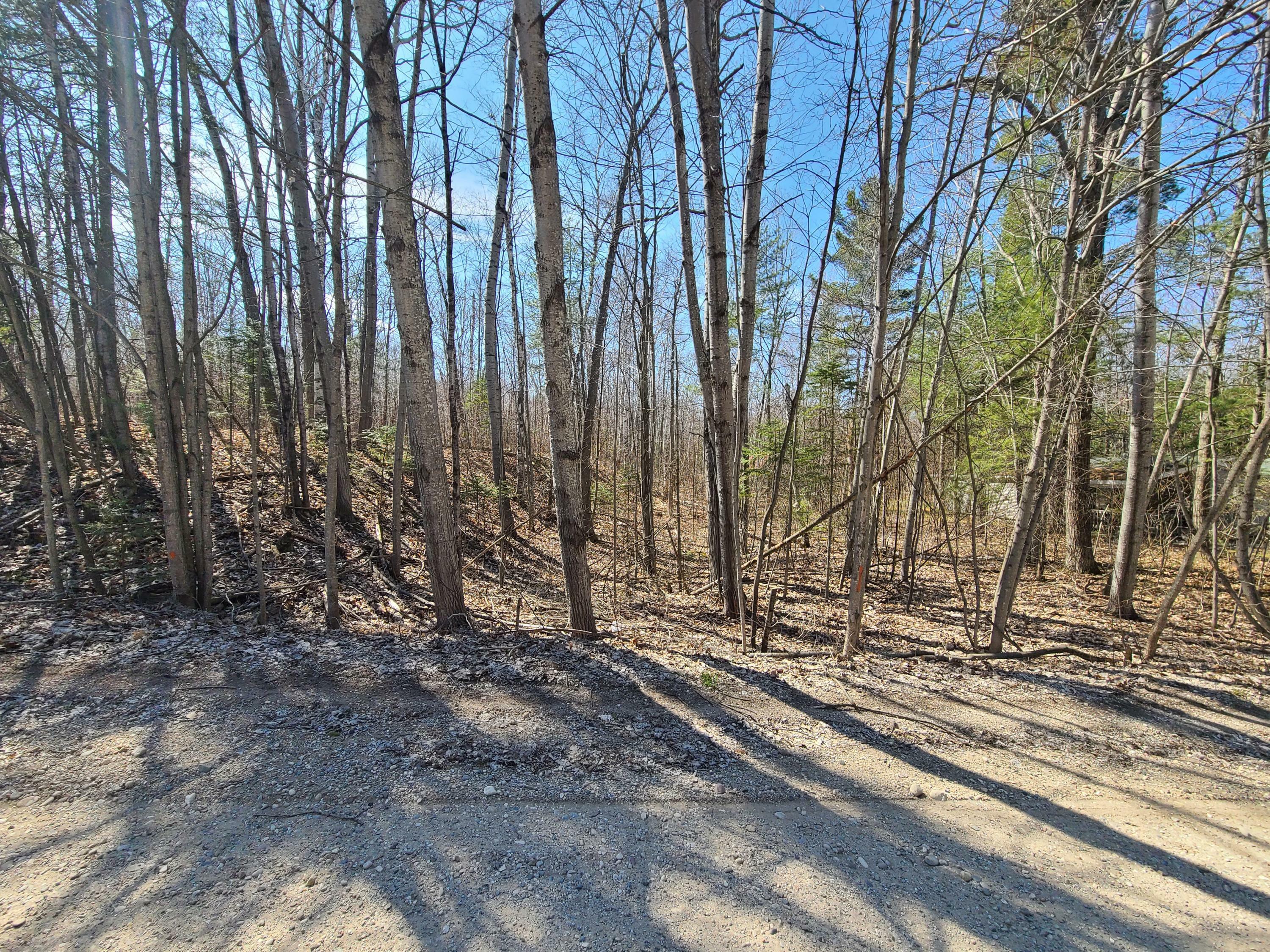 Property Photo:  14111 Linden Drive Lot 606  MI 49721 