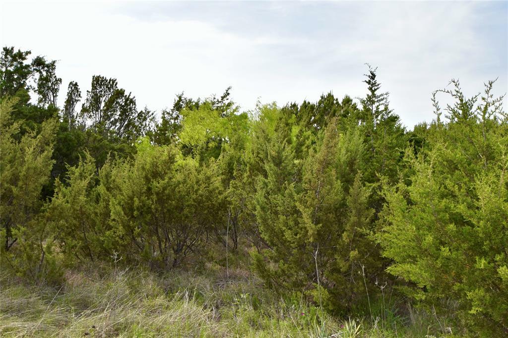 Property Photo:  2425 Sunfish Point  TX 76433 