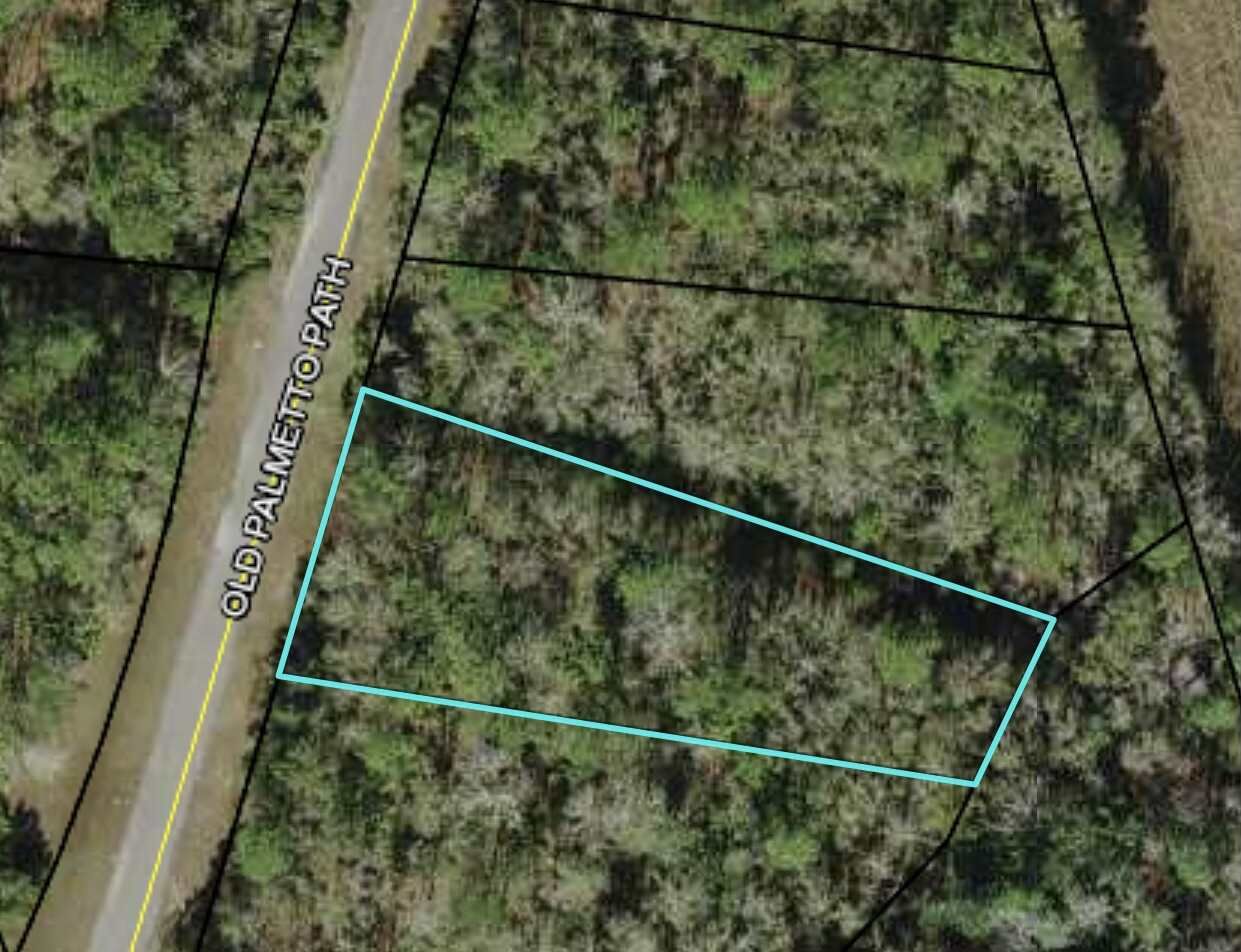 Property Photo: Tbd Old Palmetto Path FL 32327-0000