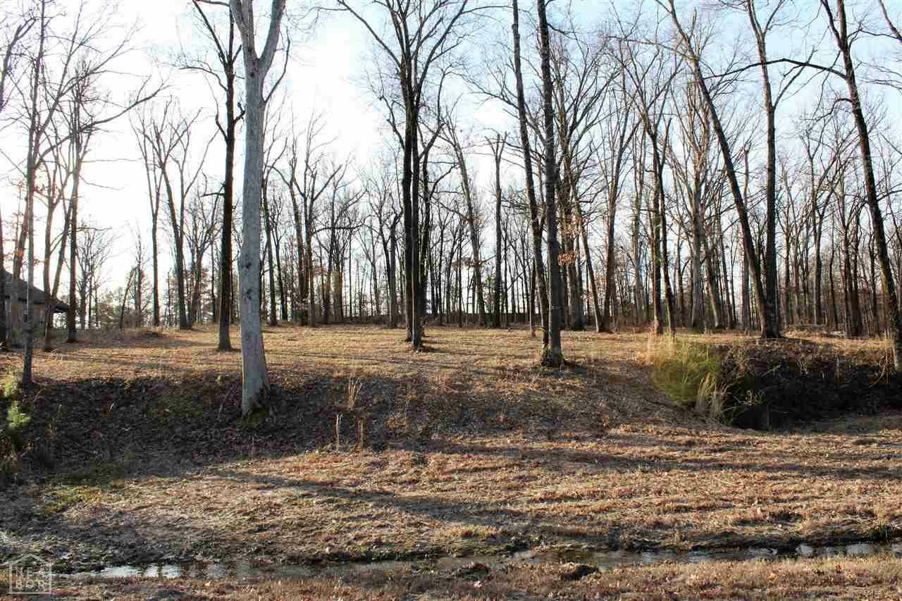 Property Photo:  Lot 11 Phase 1 Diamond Valley Estates  AR 72404 