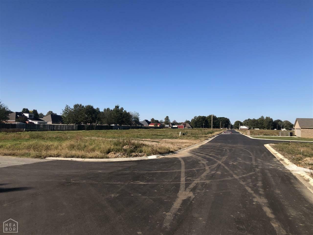 Property Photo:  Lot 9 Stella  AR 72472 