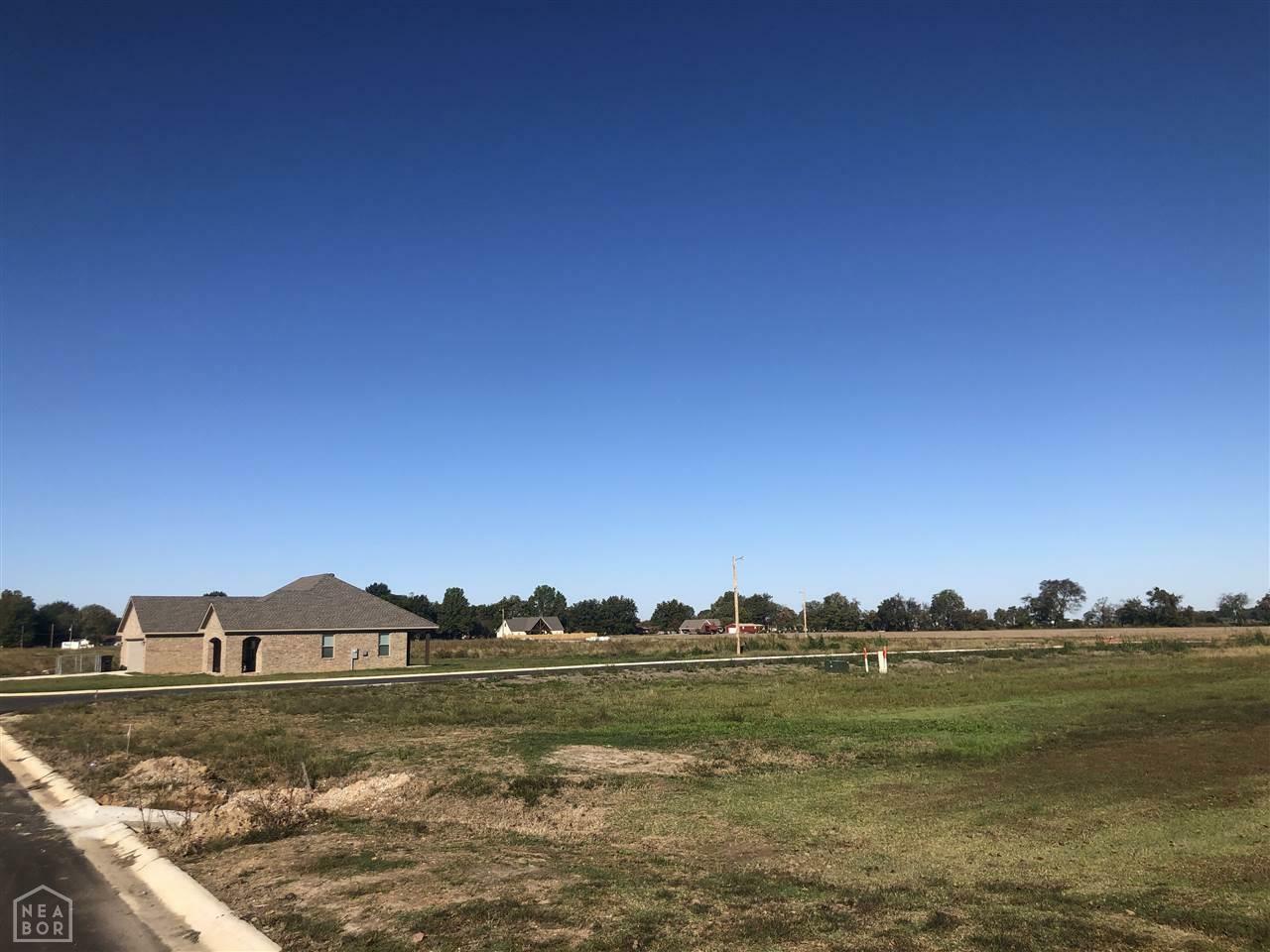 Property Photo:  Lot 15 Stella  AR 72472 