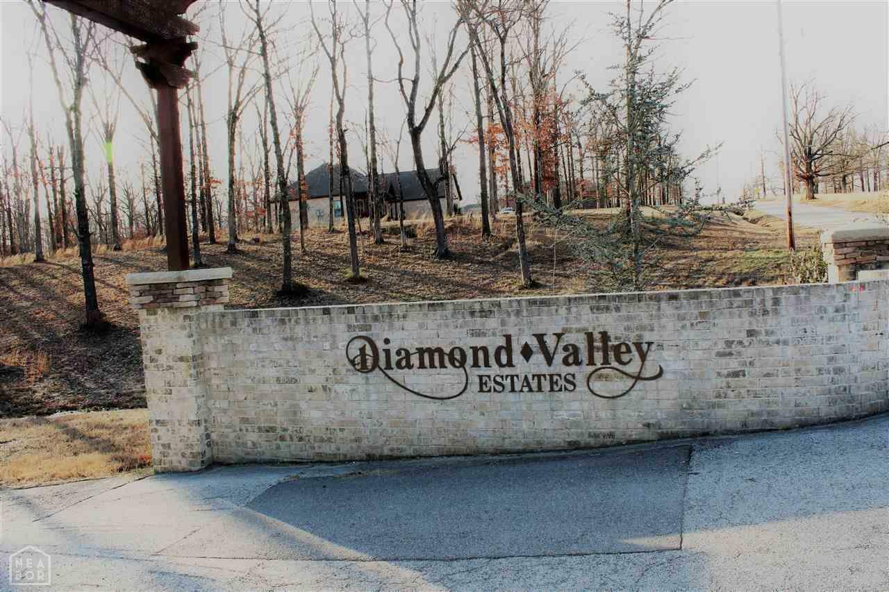 Property Photo:  Lot 1 Diamond Valley Estates Phase Ii  AR 72404 