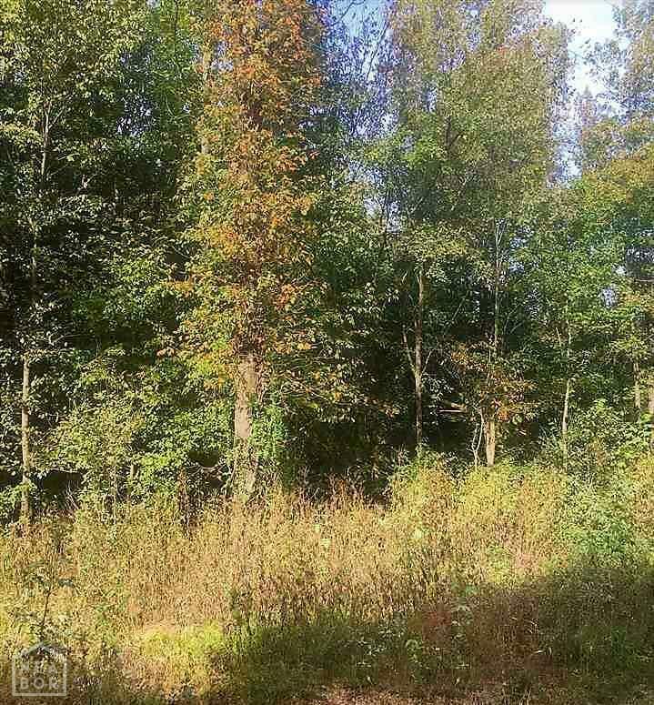 3 Acre Lot Cr 338  Jonesboro AR 72401 photo