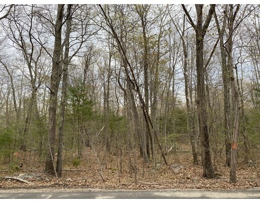 Property Photo: 384 Mountain St MA 02067