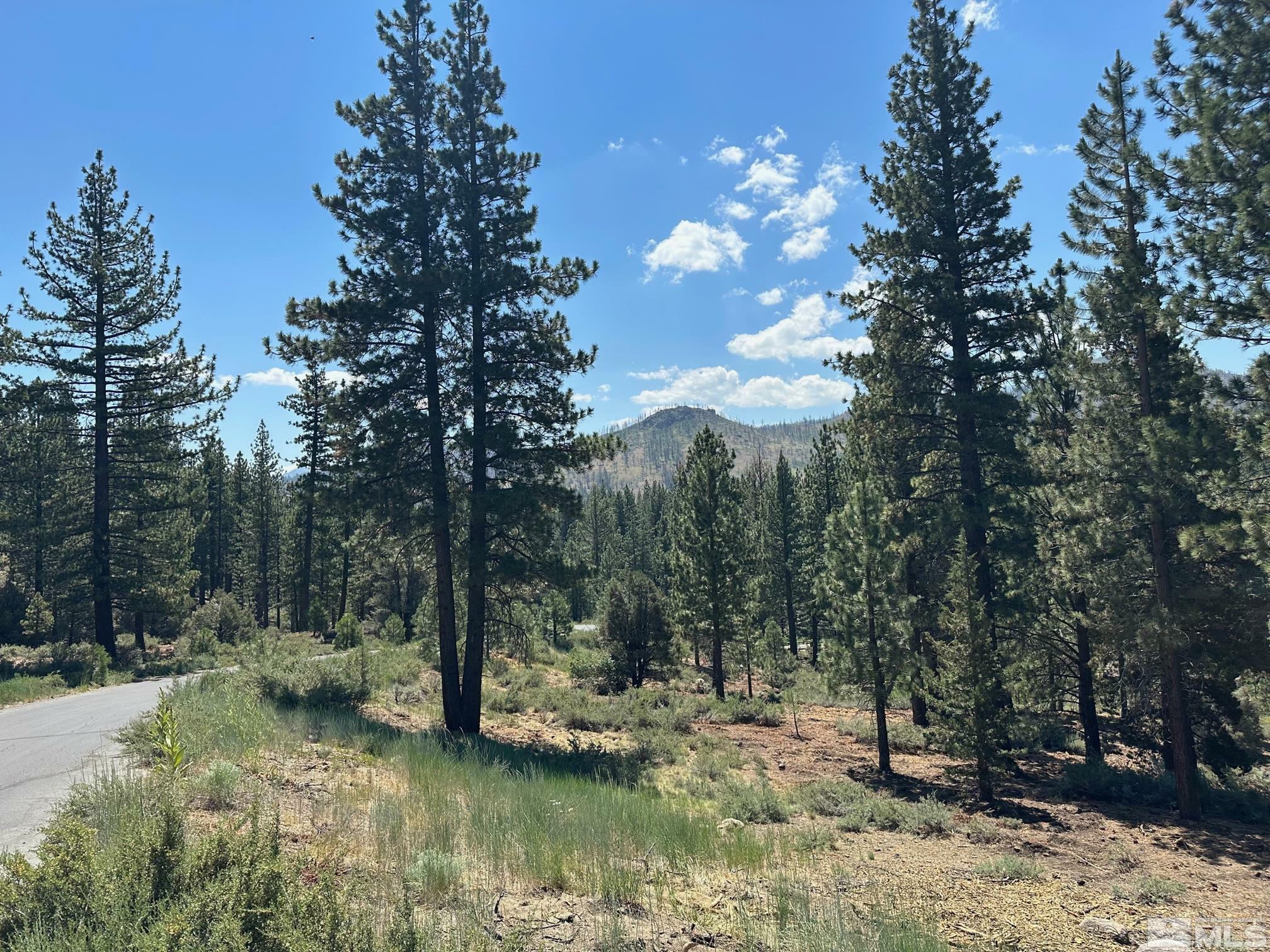 Property Photo: Lot 2 Raymond View 2 CA 96120