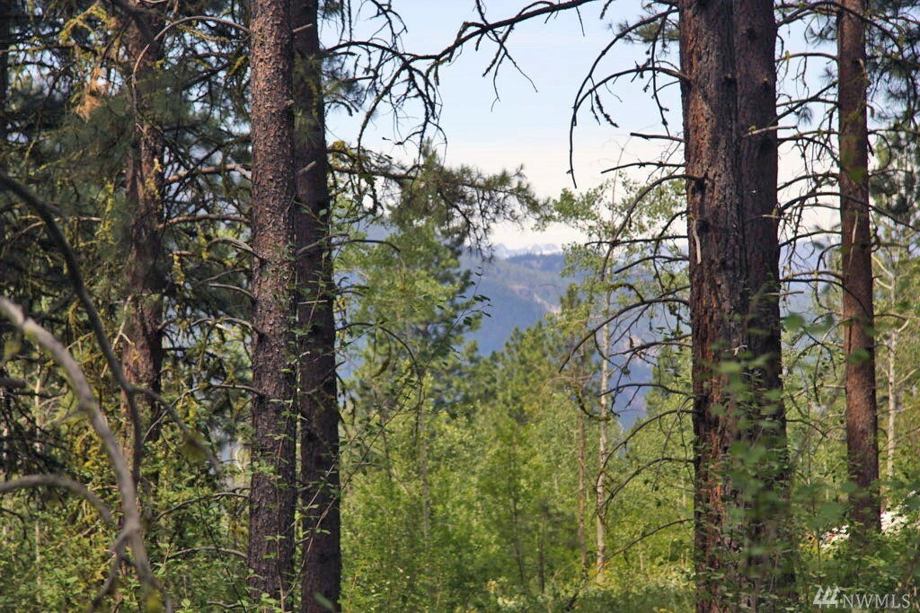 Property Photo:  Lot 312 Trillium Rd  WA 98862 