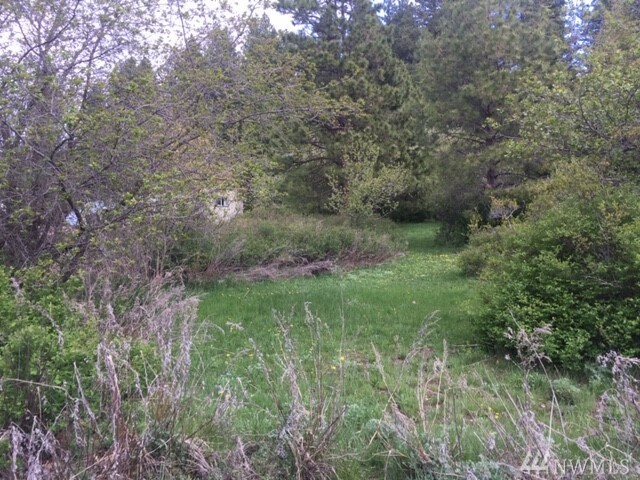 Property Photo:  Lot 7 Hwy 903  WA 98940 