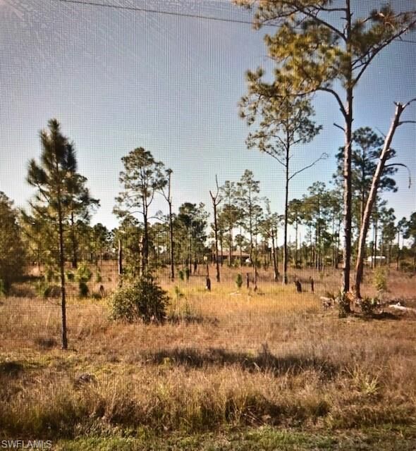 1019 Columbus Avenue  Lehigh Acres FL 33972 photo