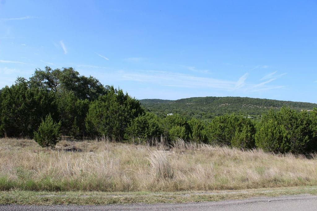 Property Photo:  404 Chaneys Crossing  TX 78605 