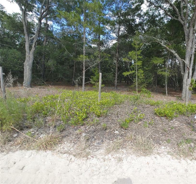 Property Photo:  02 Elliott Lane  FL 34667 