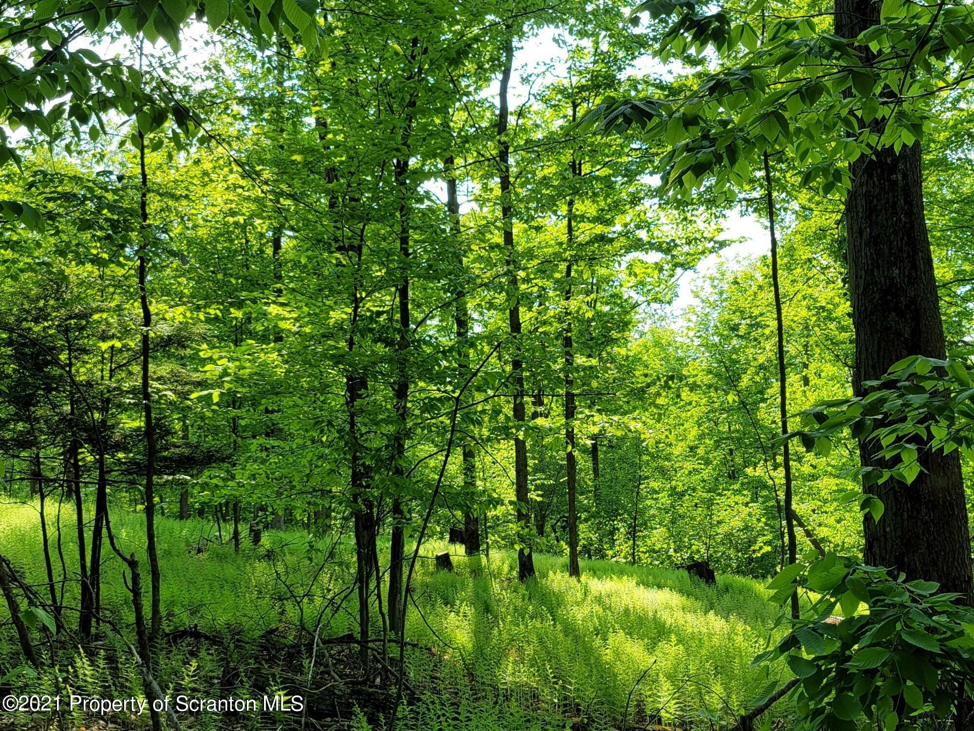 250 Levitt Hill Road  Tunkhannock PA 18657 photo