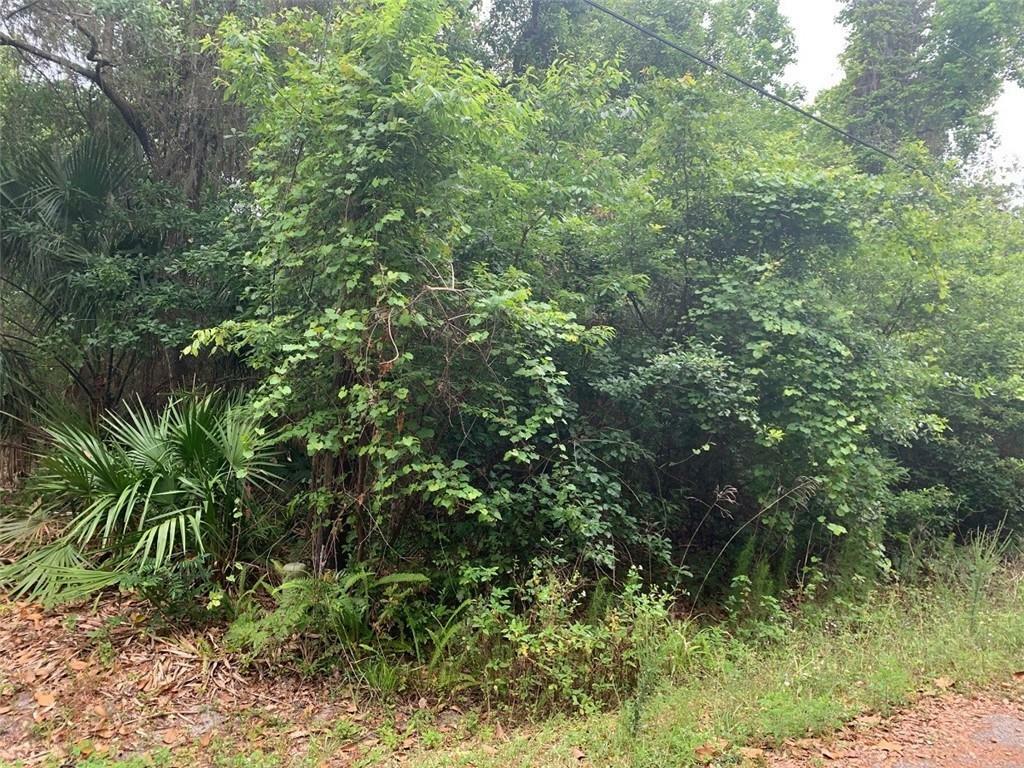 Property Photo:  Lot 10 Ian Drive  FL 32034 