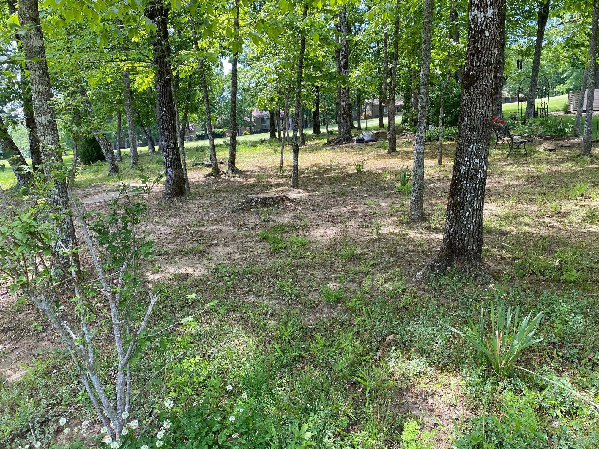 Property Photo:  451 Snead Drive  TN 38558 