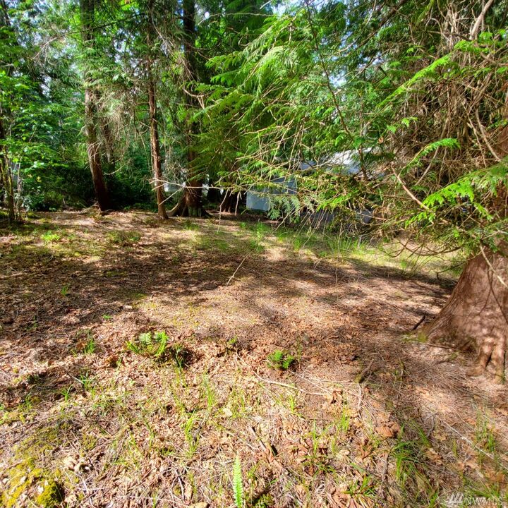 Property Photo:  441 E Pointes Dr E  WA 98584 