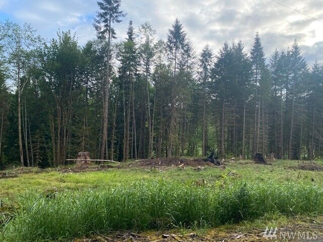 Property Photo: Lot 2 Ramsaur Rd WA 98531