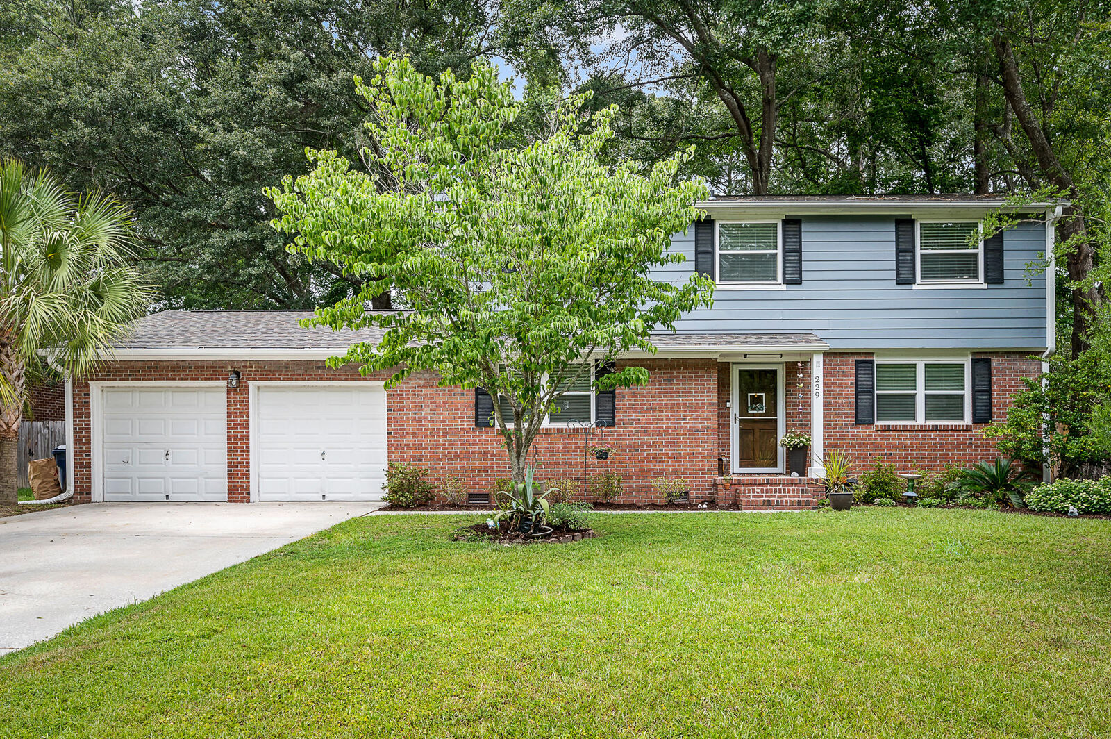 Property Photo:  229 Brailsford Road  SC 29485 