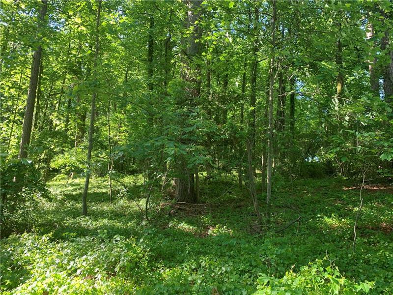 0 Lot 2 Keith Evans Road  Dawsonville GA 30534 photo