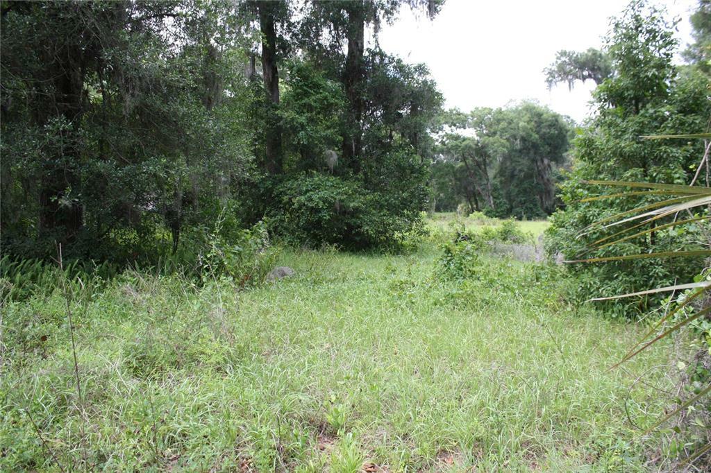 Property Photo:  510 Glenwood Road  FL 32720 