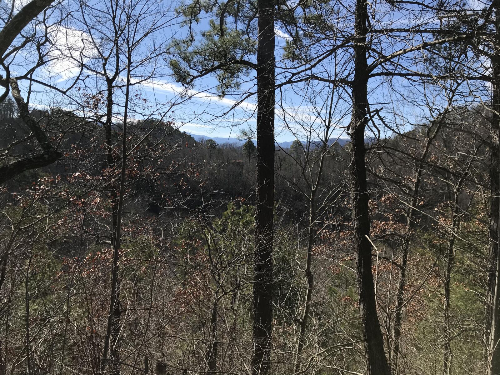 Property Photo: Sugar Maple Loop Rd TN 37862