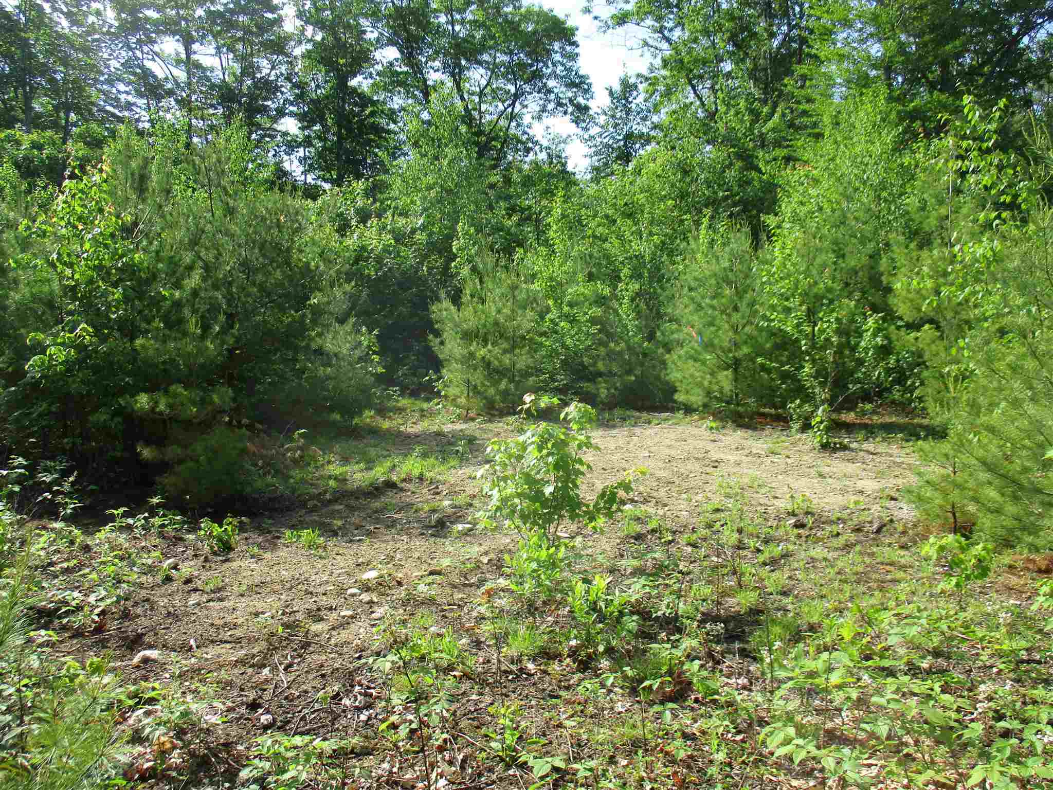 Property Photo:  Lot 206-25-1 Schoolhouse Road  NH 03082 