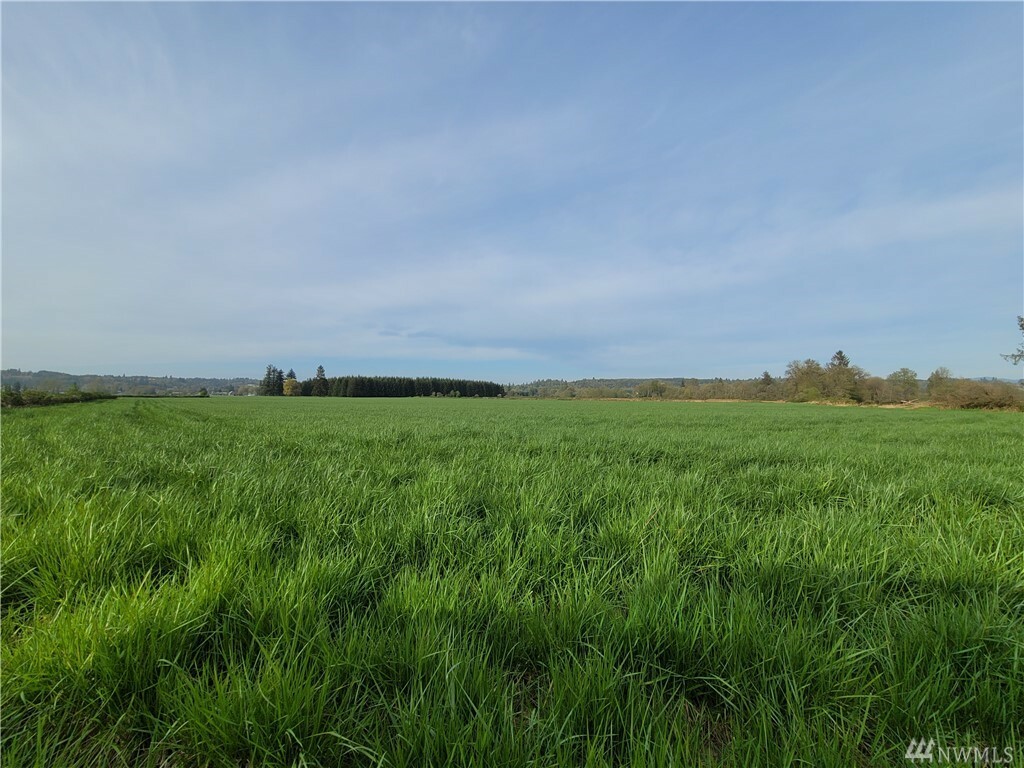 Property Photo:  0 Marion Rd  WA 98541 