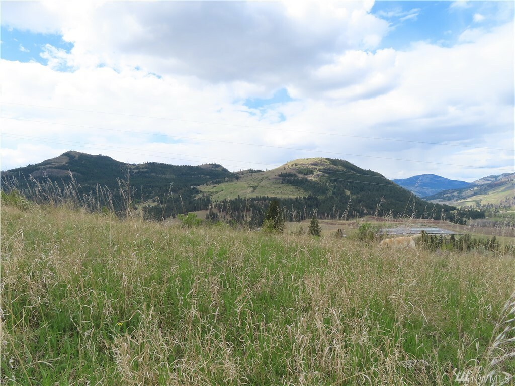 Property Photo:  Tbd Long Alec Creek Rd  WA 99118 