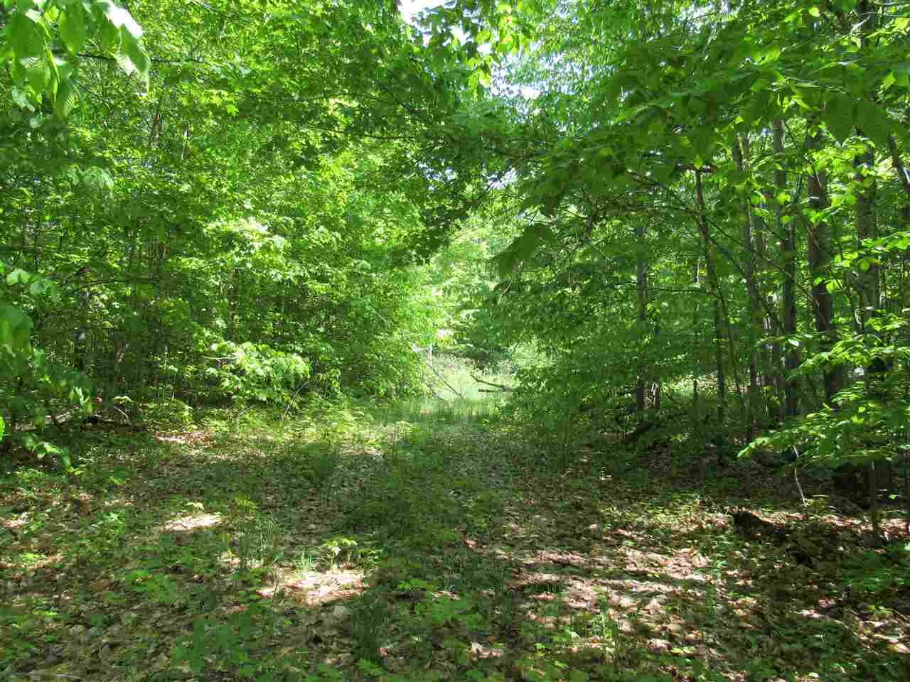 Property Photo:  3799 Valley  MI 49755 